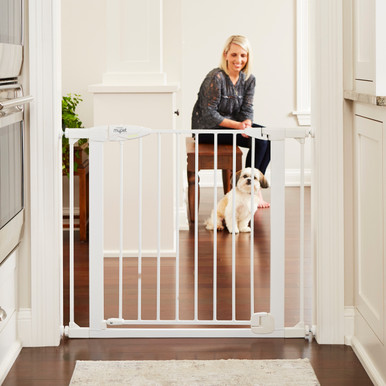 5435_MAIN-P_01_070119__80260.