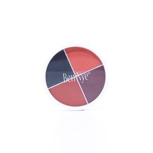 The Burns and Blisters Wheel contains four of our essential shades for creating burn simulations