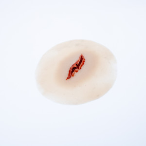 Medical Grade silicone wound, Laceration Jagged 1. 01 light skin tone