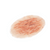 Silicone Wound Large Abrasion/Graze