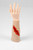 TraumaWear - a wearable & repeat use solution for rapid moulage. This one is simulating a Sharp Laceration wound and is simply pulled-on the forearm. It is available in 11 different colours.