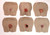 Pressure Injury Buttock Overlay Range
