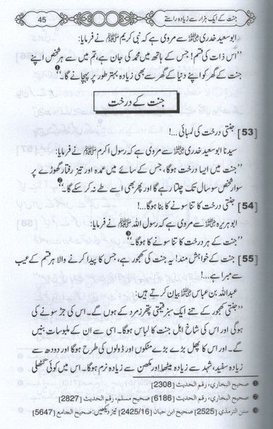 1000 Say Ziyada Janat Ki Taraf Janay walay Raastay (Urdu) By Hafiz Abdullah Saleem,