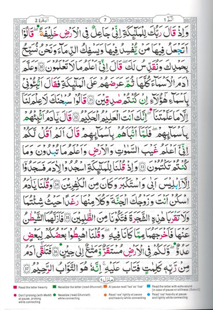 Tajweed Quran persian, Urdu & Southafrican Script with 15 Lines ( Ref 213),