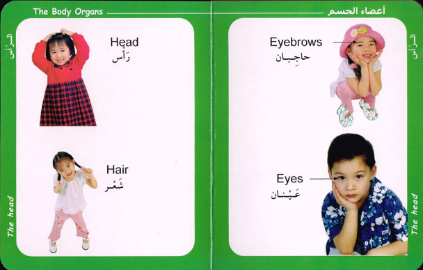 Big Ideas for Little Minds My Body (Arabic/English),9789953516066,