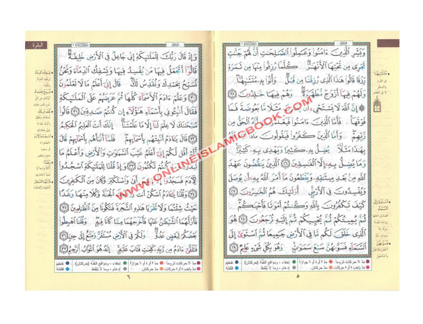 Tajweed Quran Arabic only (Size 6.8 x 5.0 x 1.2 inch),