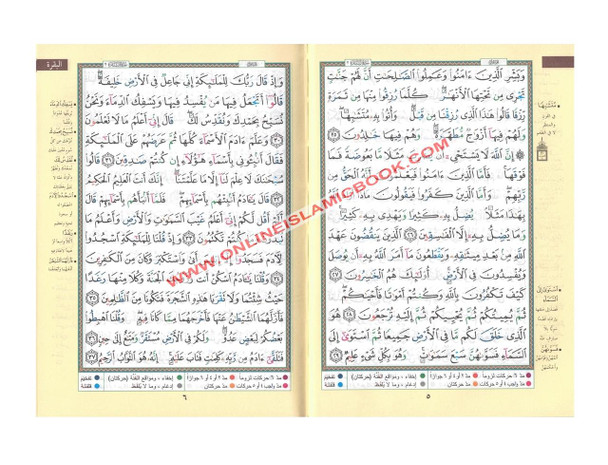 Tajweed Quran Arabic only (Flexible Cover)