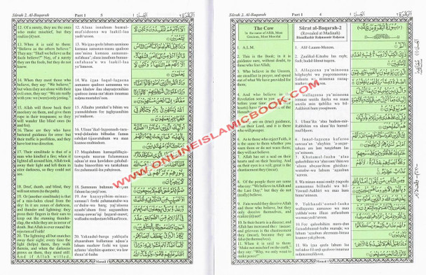 The Holy Quran Transliteration in Roman Script with Arabic Text and English Translation (Green) By Abdullah Yusuf Ali,9789384183165,