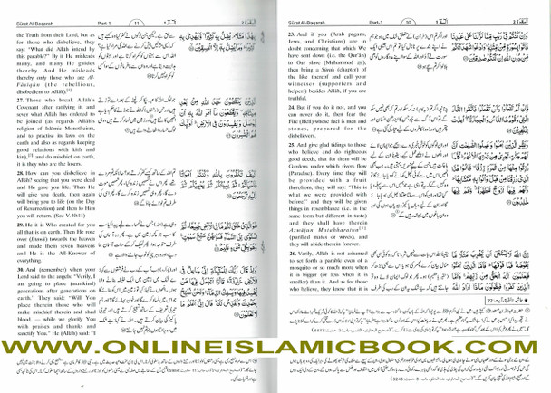 Noble Quran in English & Urdu Languages (Tafseer Ahsan-ul-Kalam),9782987458050,