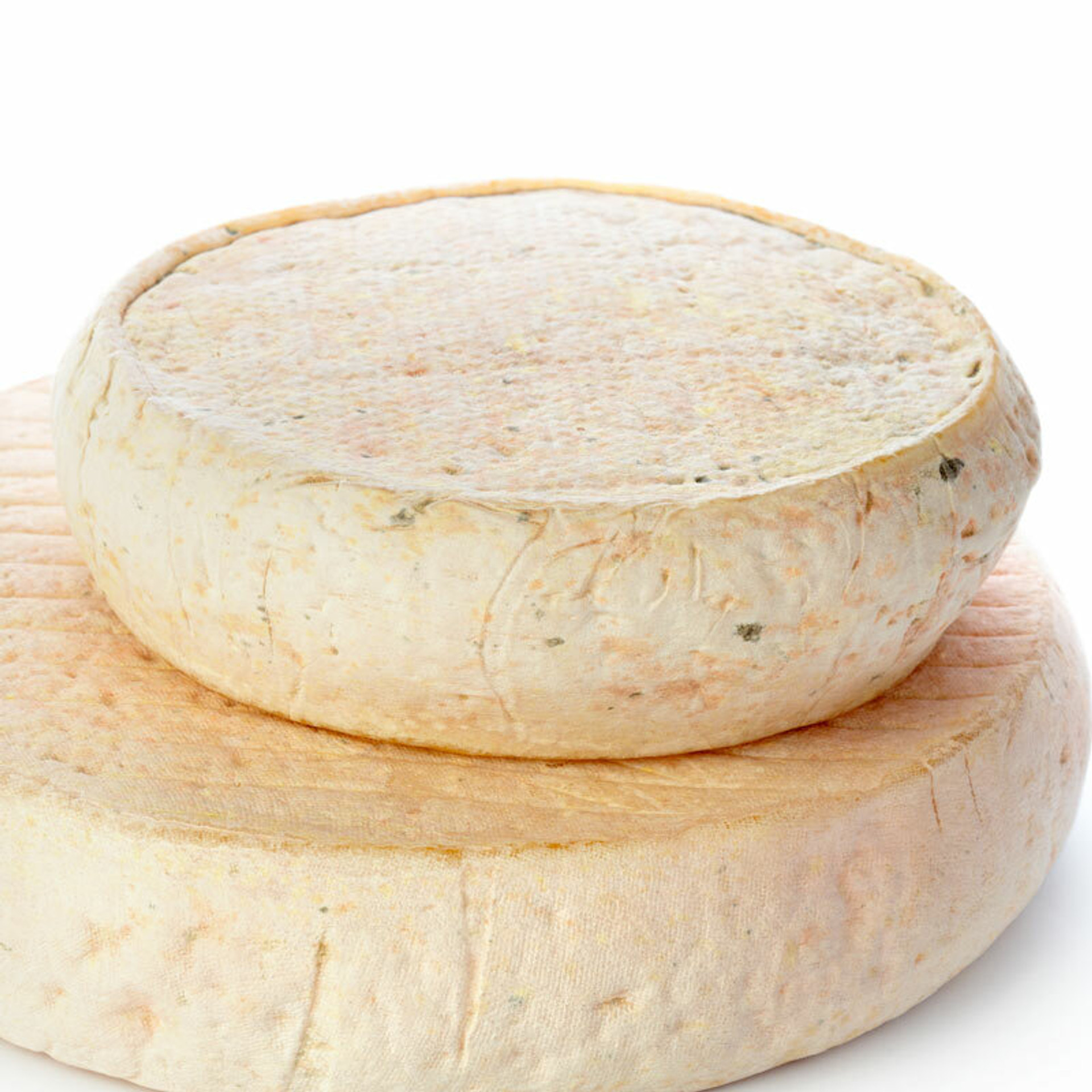 Goat Milk cheeses from Spain