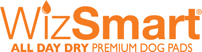 WizSmart Logo