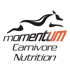 Momentum Logo
