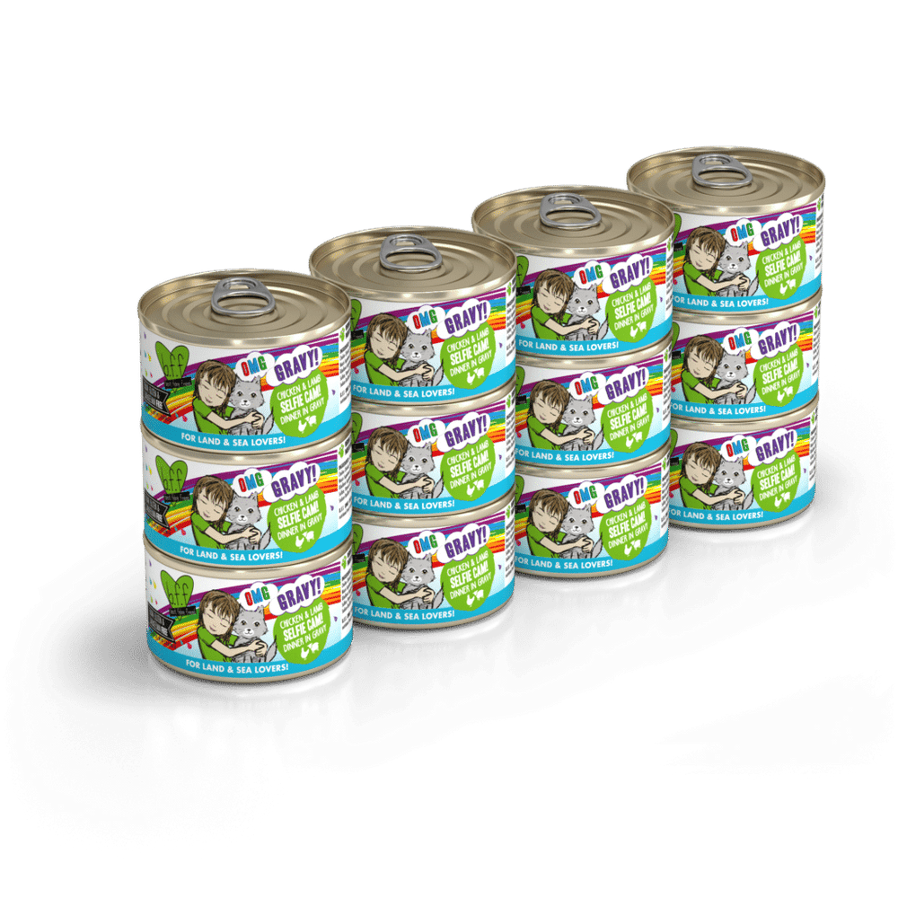 BFF OMG Can -  Selfie Cam! Chicken & Lamb 2.8oz 12pk