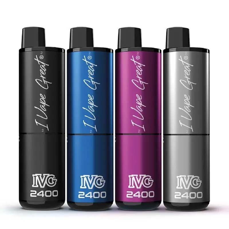 IVG 2400 Basisgerät