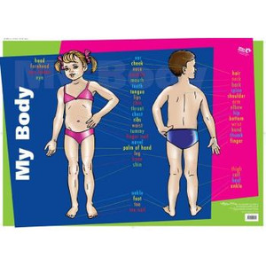MY BODY WALL CHART *** While Stocks Last ***