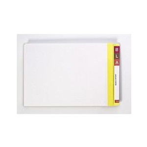 AVERY LATERAL FILES WITH MYLAR REINFORCED TABS Foolscap Yellow Clear Mylar, Bx100