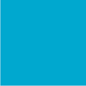 COLOURFUL DAYS COLOURBOARD 200GSM PROJECT 510X640MM PACK OF 20 MARINE BLUE