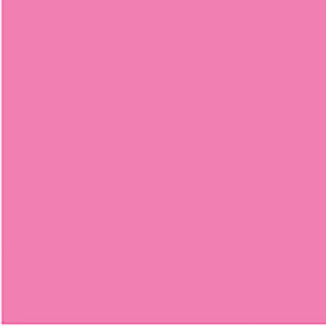 COLOURFUL DAYS COLOURBOARD 200GSM PROJECT SIZE 510 X 640MM PACK OF 20 PINK ** ETA 20/10/2026 **