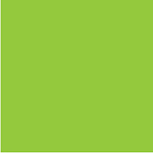 COLOURFUL DAYS FLOURO BOARD 250GSM PROJECT SIZE 510 X 640MM PACK OF 20 GREEN ** ETA 29/12/2026 **