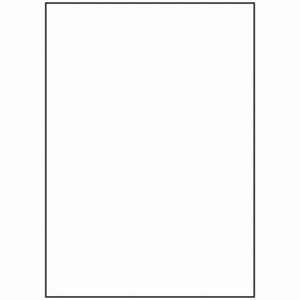 LABEL LASER A4 1UP DATAFLEX 210MM X 297MM MATT WHITE 001 BOX OF 100