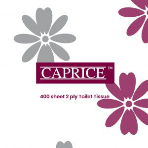 Caprice Toilet Roll 2 ply 400 sheet Individually Wrapped, Carton of 48
