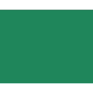 Quill Coloured Board 210gsm 510mm x 635mm - Emerald (90206)