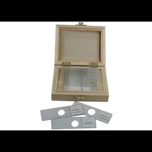 Slide Set - Mixed Bacteria - Set of 12