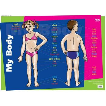 MY BODY WALL CHART *** While Stocks Last ***
