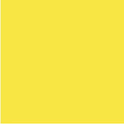 COLOURFUL DAYS COLOURBOARD 200GSM PROJECT SIZE 510 X 640MM PACK OF 20 LEMON