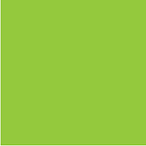COLOURFUL DAYS FLOURO BOARD 250GSM PROJECT SIZE 510 X 640MM PACK OF 20 GREEN