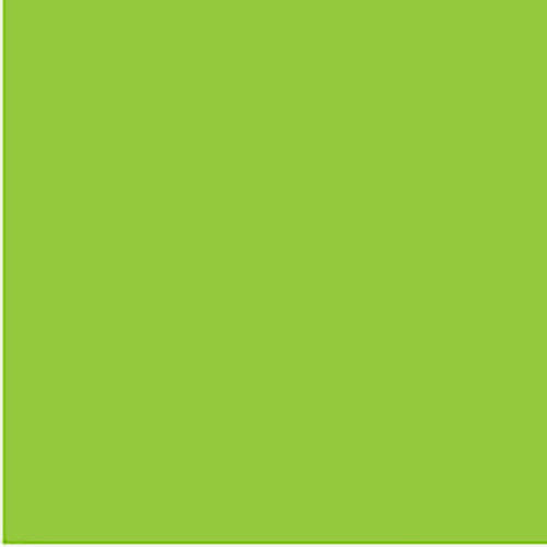 COLOURFUL DAYS FLOURO BOARD 250GSM PROJECT SIZE 510 X 640MM PACK OF 20 GREEN ** ETA 29/12/2026 **