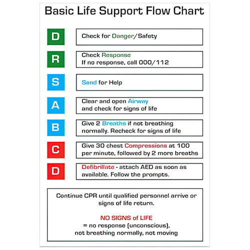 CPR Flow Chart Card 10cm x 14cm