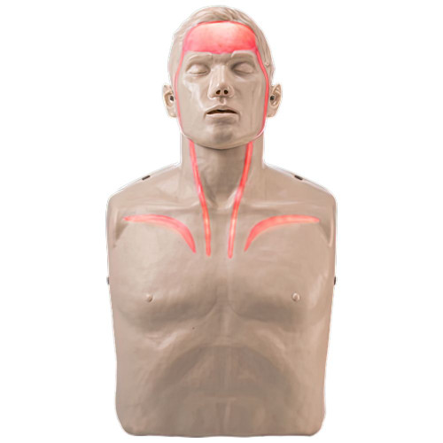 BRAYDEN Pulse CPR Manikin (With Lights), Each