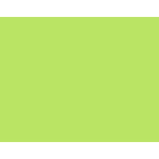 Labels for Monarch M01136 Price Gun - Light Green Plain, Pack of 10,000 Labels (Contains 6 Rolls & 1 Roller)