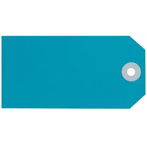 AVERY SHIPPING TAGS SIZE 8 160MM X 80MM BLUE BOX 1000