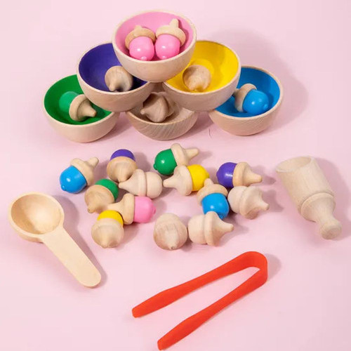 Colour Classify Toys 29pc