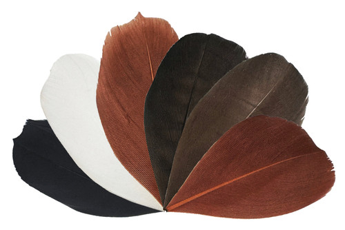 Trimmed Feathers Natural 20g