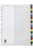 MARBIG COLOURED DIVIDERS A4 PP 20 Tab Multi