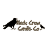 Black Crow Candle