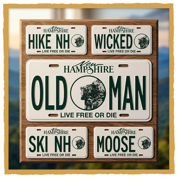 NH LICENSE PLATE