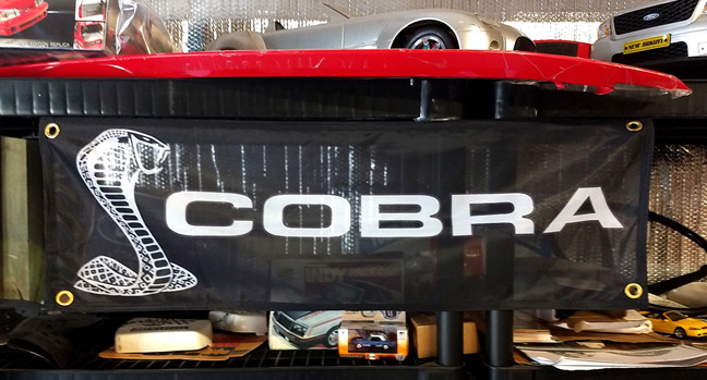 banner-cobra-black-sm.jpg