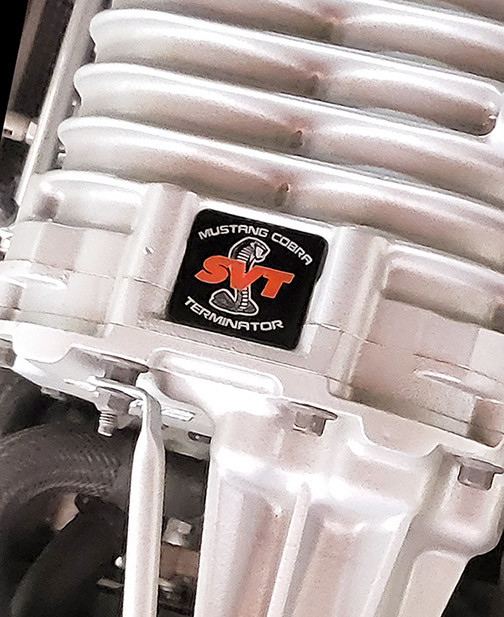 https://cdn11.bigcommerce.com/s-jx2tc/products/213/images/1971/TermPlate_Generic_2__24226.1710818430.1280.1280.jpg?c=2