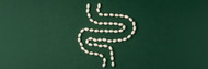 How Long Does It Take for Probiotics to Work?  