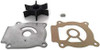 Sierra Water Pump Repair Plate Gasket Impeller Kit