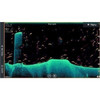 Lowrance ELITE FS 9 Combo Including Active Imaging 3-in-1 Transducer And CMAP