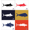 Reelax Tag Flags - Species Pack