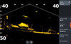 Lowrance ActiveTarget 2 Module Only