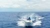 Reelax Drop In Outrigger Base with 4.5m Black Fibreglass Poles & Stainless Steel Rigging Kit and Spears