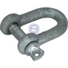 Shackles - D - Galvanised