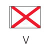 Code Flag - Size 5